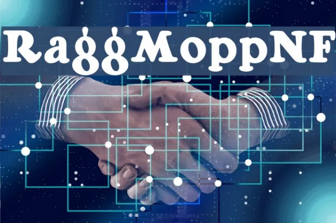 RaggMoppNF Example 1