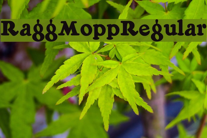RaggMoppRegular Font examples