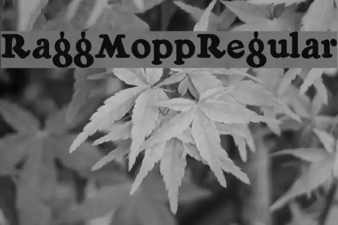 RaggMoppRegular Caratteri examples