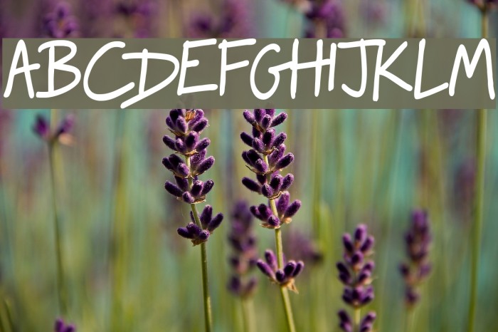 Raggedways Font examples