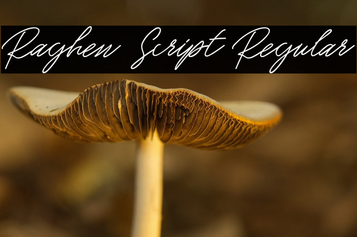 Raghen Script Regular Example 2