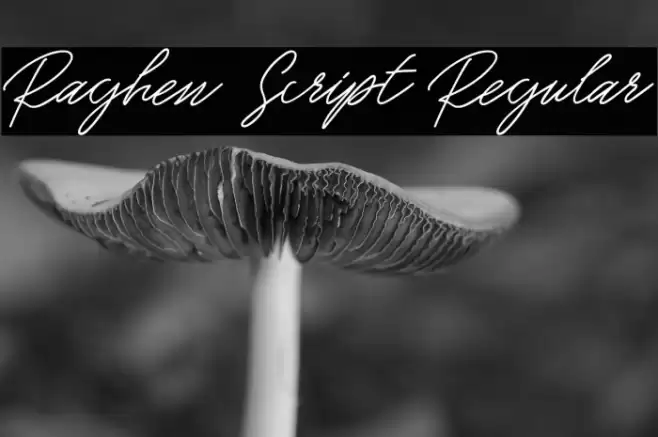 Raghen Script Regular Шрифта examples