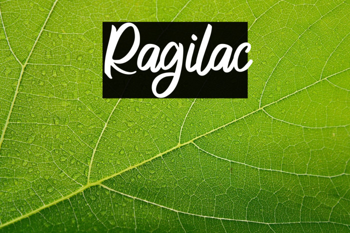 Ragilac Example 2