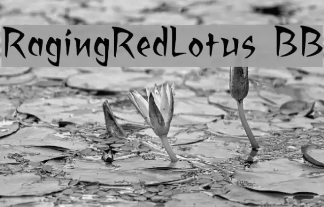 RagingRedLotus BB フォント examples