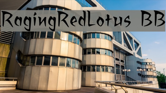 RagingRedLotus BB Font examples
