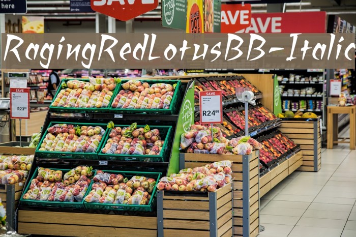 RagingRedLotusBB-Italic Font examples