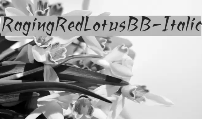 RagingRedLotusBB-Italic Caratteri examples