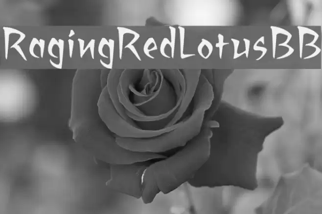 RagingRedLotusBB Fonte examples