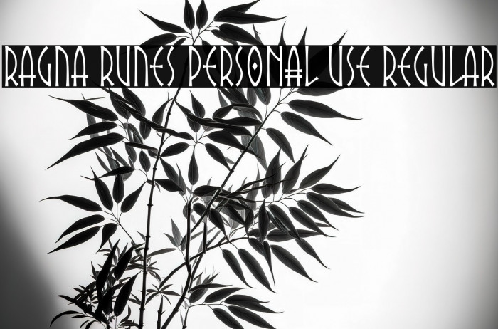 Ragna Runes PERSONAL USE Regular Example 2