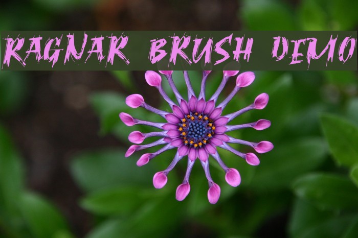 Ragnar Brush DEMO Font examples