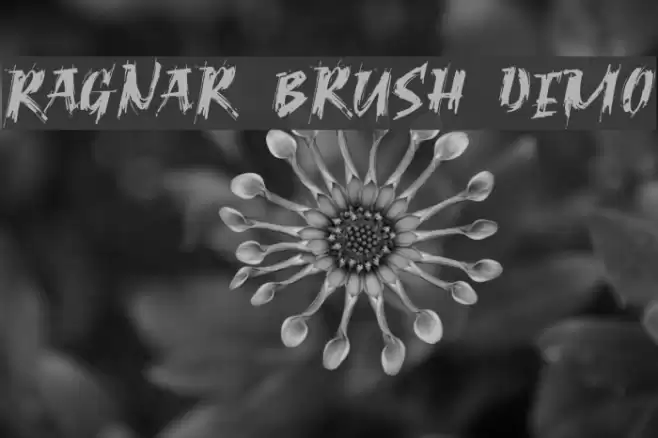 Ragnar Brush DEMO Шрифта examples