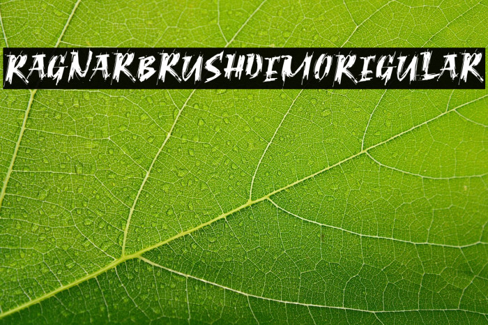 RagnarBrushDEMORegular Example 1