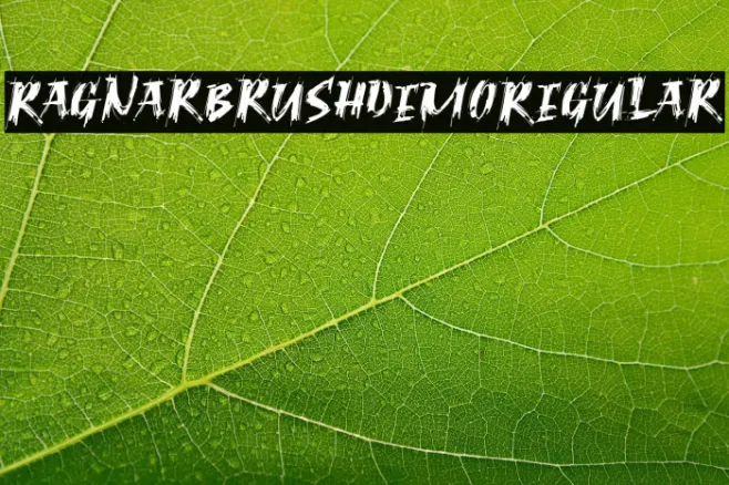 RagnarBrushDEMORegular Example 1