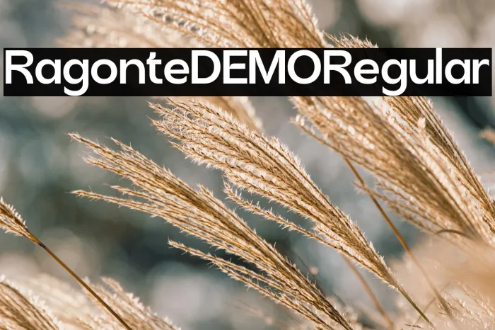 Ragonte DEMO Regular Example 1