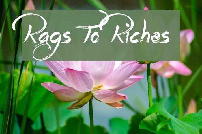 Rags To Riches Font examples