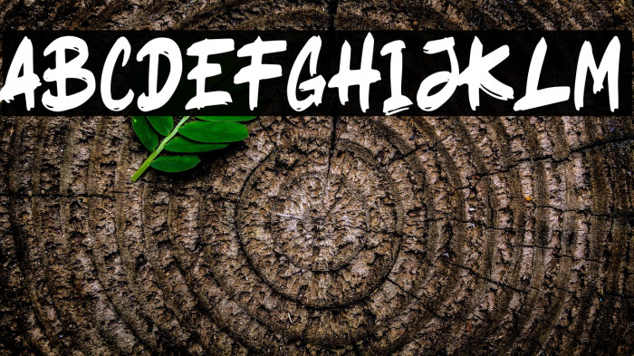 Ragsy Clean Example 3