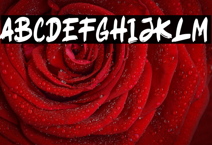 Ragsy Clean Example 2