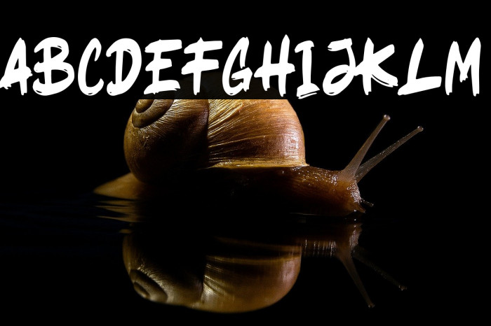 Ragsy Clean Example 3