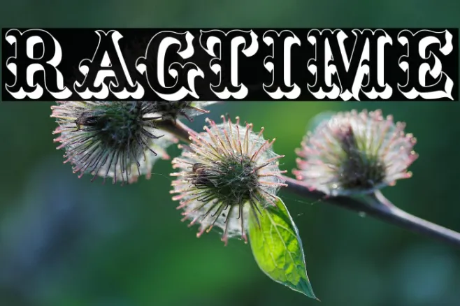 Ragtime Example 2