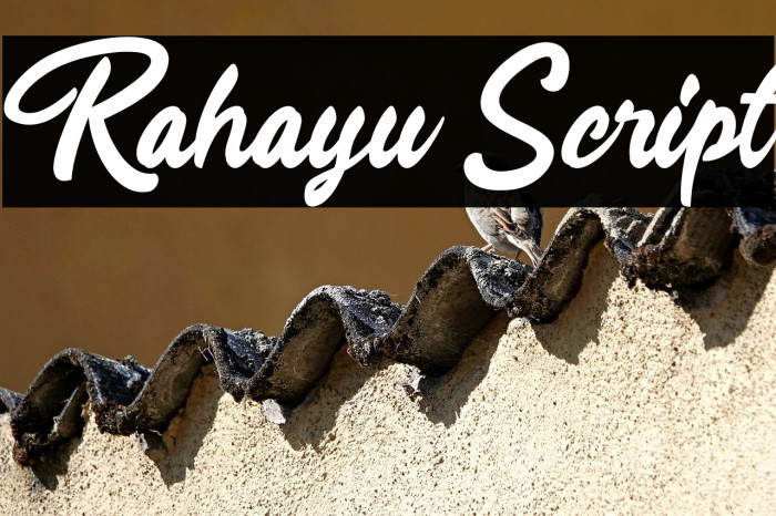 Rahayu Script Example 3