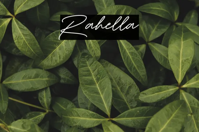 Rahella Example 1