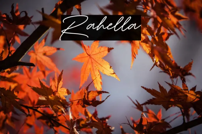 Rahella Example 3