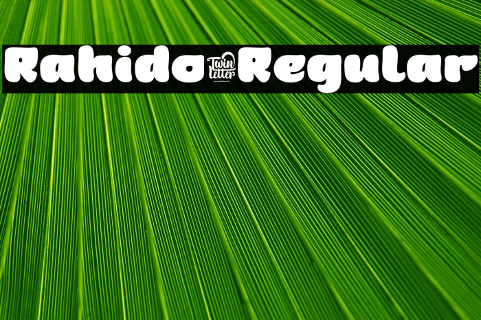 Rahido-Regular Example 1