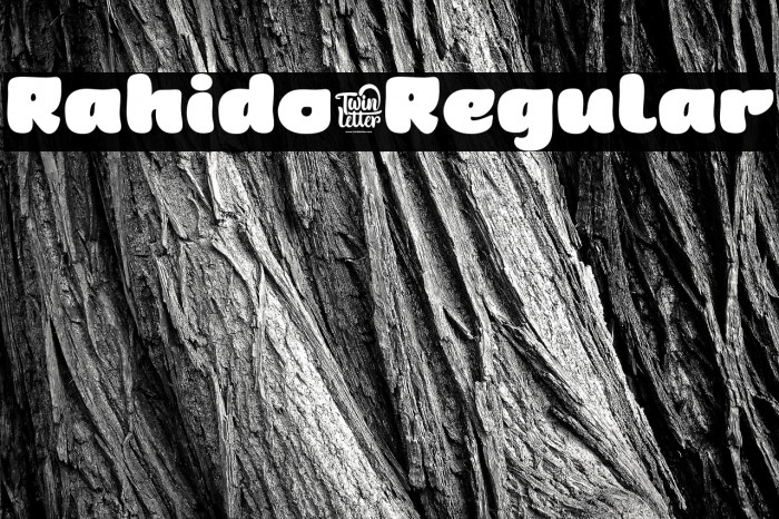 Rahido-Regular Example 2