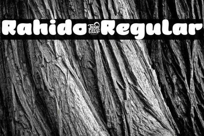 Rahido-Regular Example 2