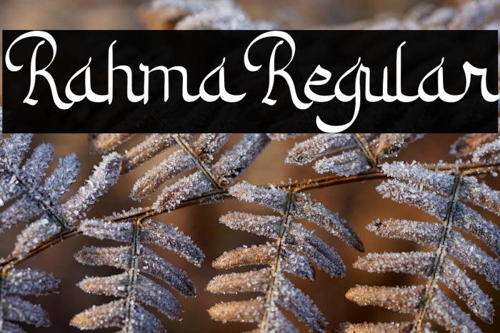 Rahma Regular Example 2