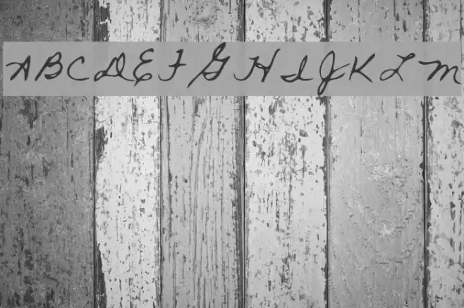 Rai Regular Font examples