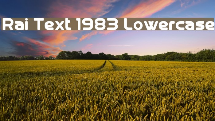 Rai Text 1983 Lowercase Font examples