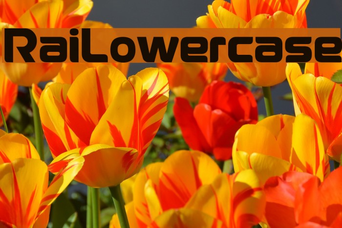 RaiLowercase Font examples
