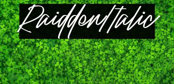 Raidden Italic Example 3