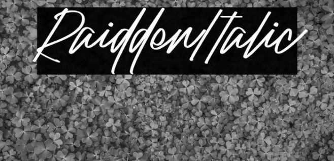 Raidden Italic Font examples
