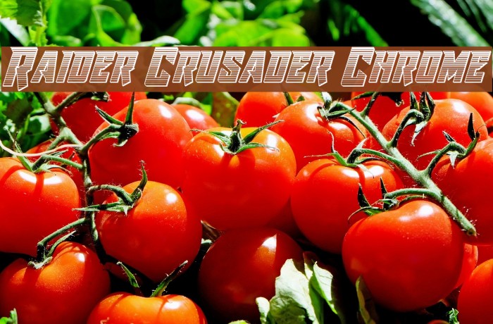 Raider Crusader Chrome Font examples