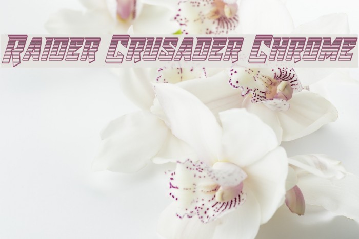 Raider Crusader Chrome Font examples