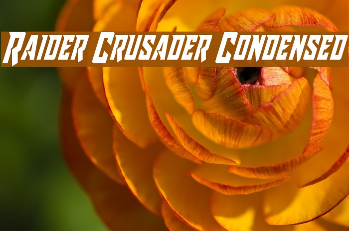 Raider Crusader Condensed Font examples
