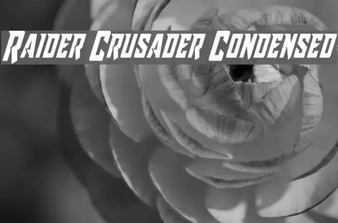Raider Crusader Condensed Font examples