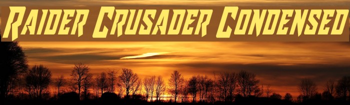 Raider Crusader Condensed Font examples