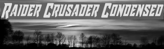 Raider Crusader Condensed Font examples