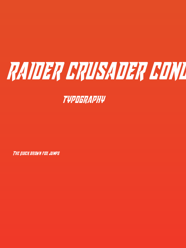 Raider Crusader Condensed Poster