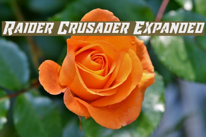 Raider Crusader Expanded Font examples