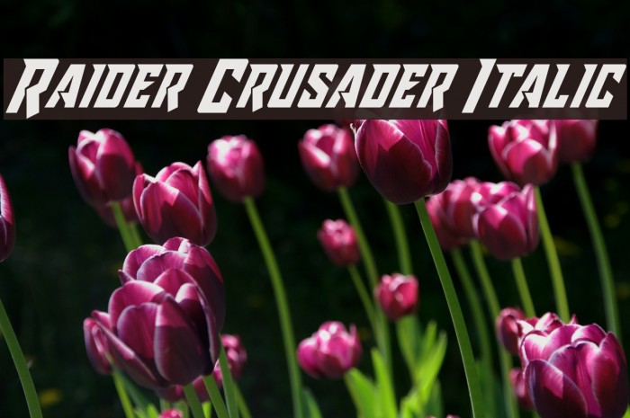 Raider Crusader Italic Font examples