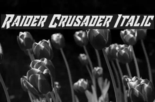 Raider Crusader Italic Шрифта examples