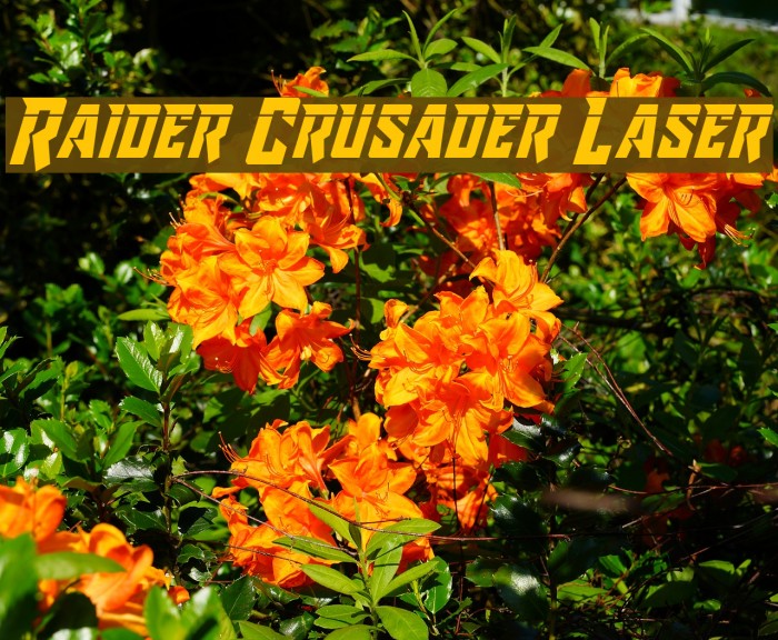 Raider Crusader Laser Font examples