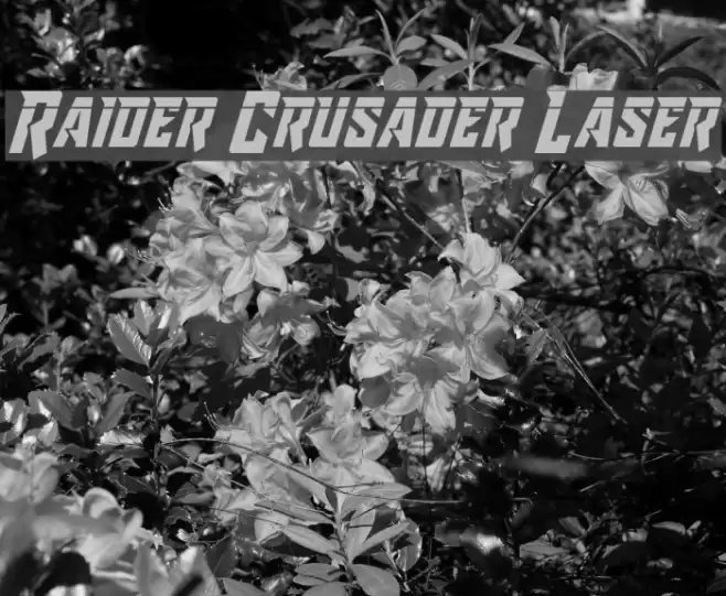 Raider Crusader Laser Font examples