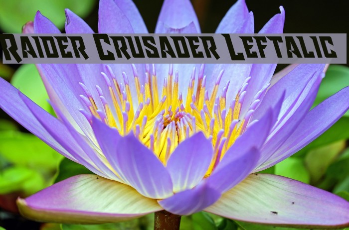 Raider Crusader Leftalic Font examples