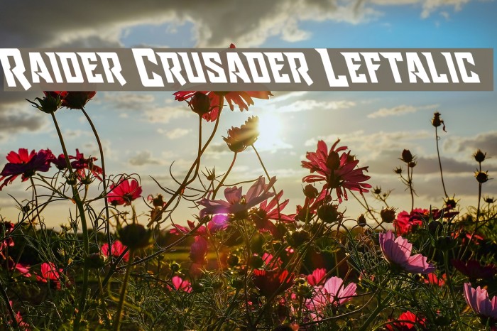 Raider Crusader Leftalic Font examples