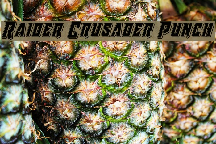 Raider Crusader Punch Font examples